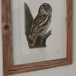 Airhome - Owl's Nest 2 * Reval