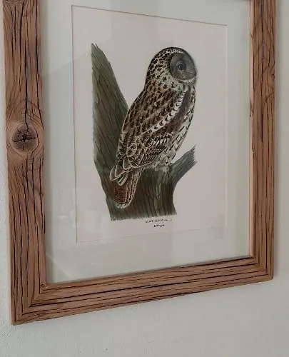 Airhome - Owl's Nest 2 * 塔林